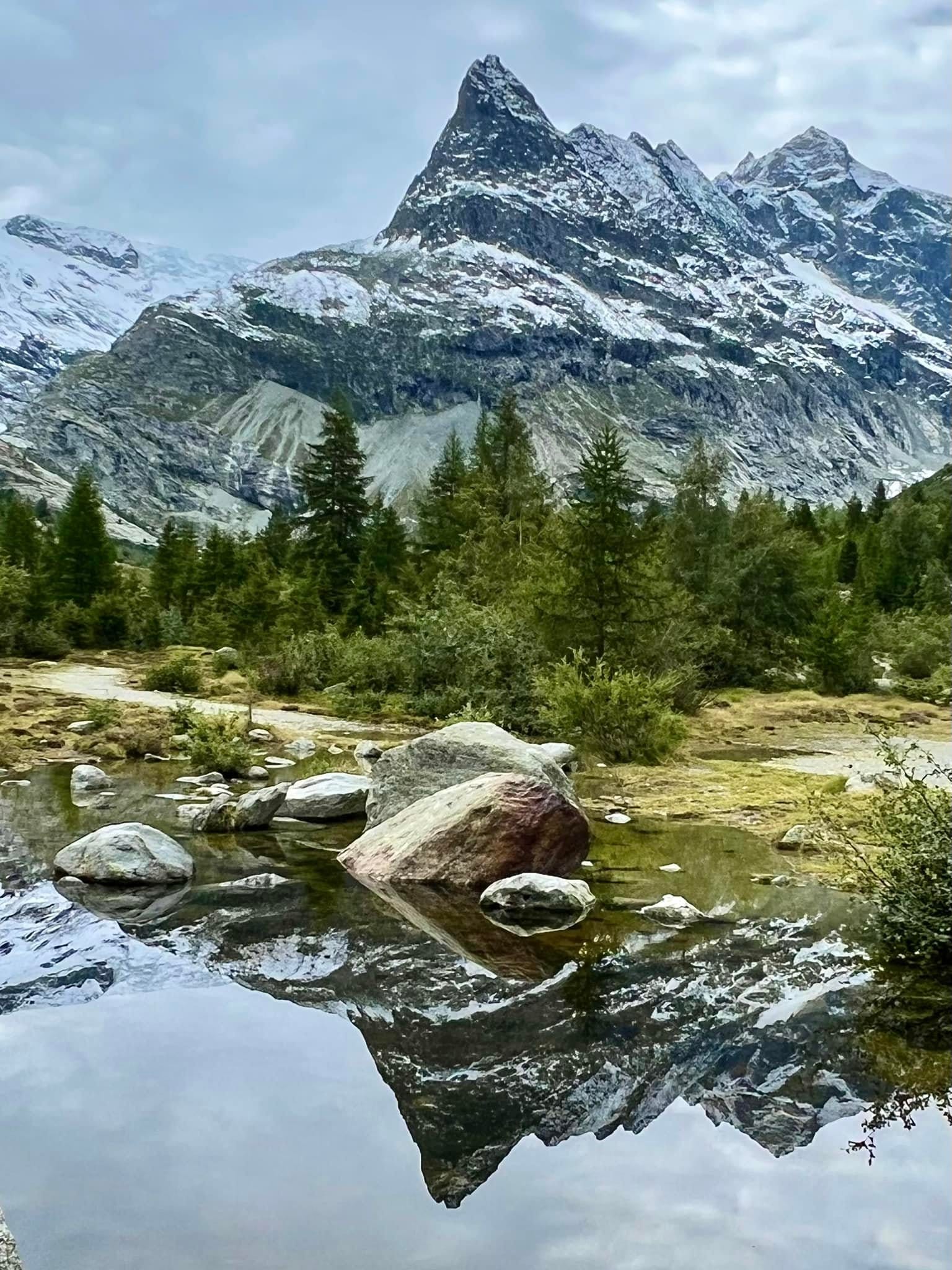 374981533_10163152310876258_6488456942739533246_n