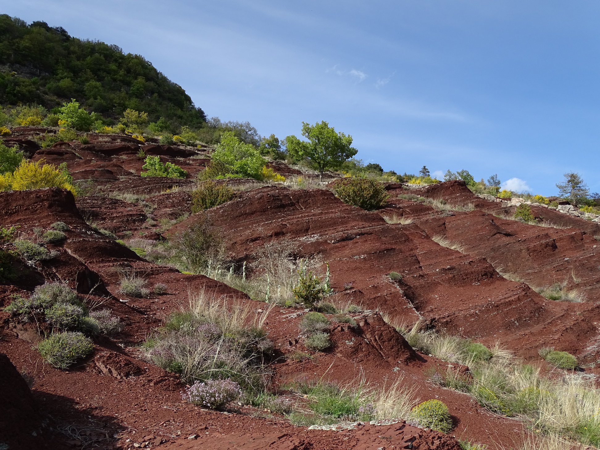 60017844_10158469104986258_9166931798603595776_n