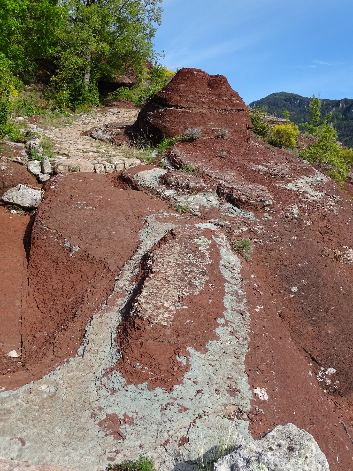 60283133_10158469105206258_991532752635428864_n