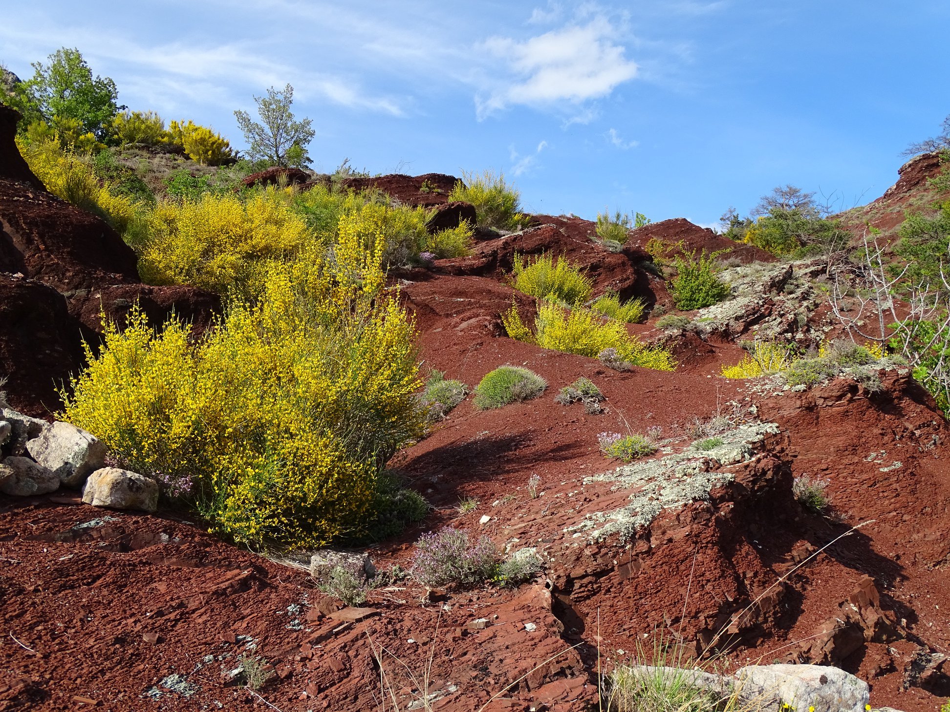 60459776_10158469100901258_92046629531549696_n