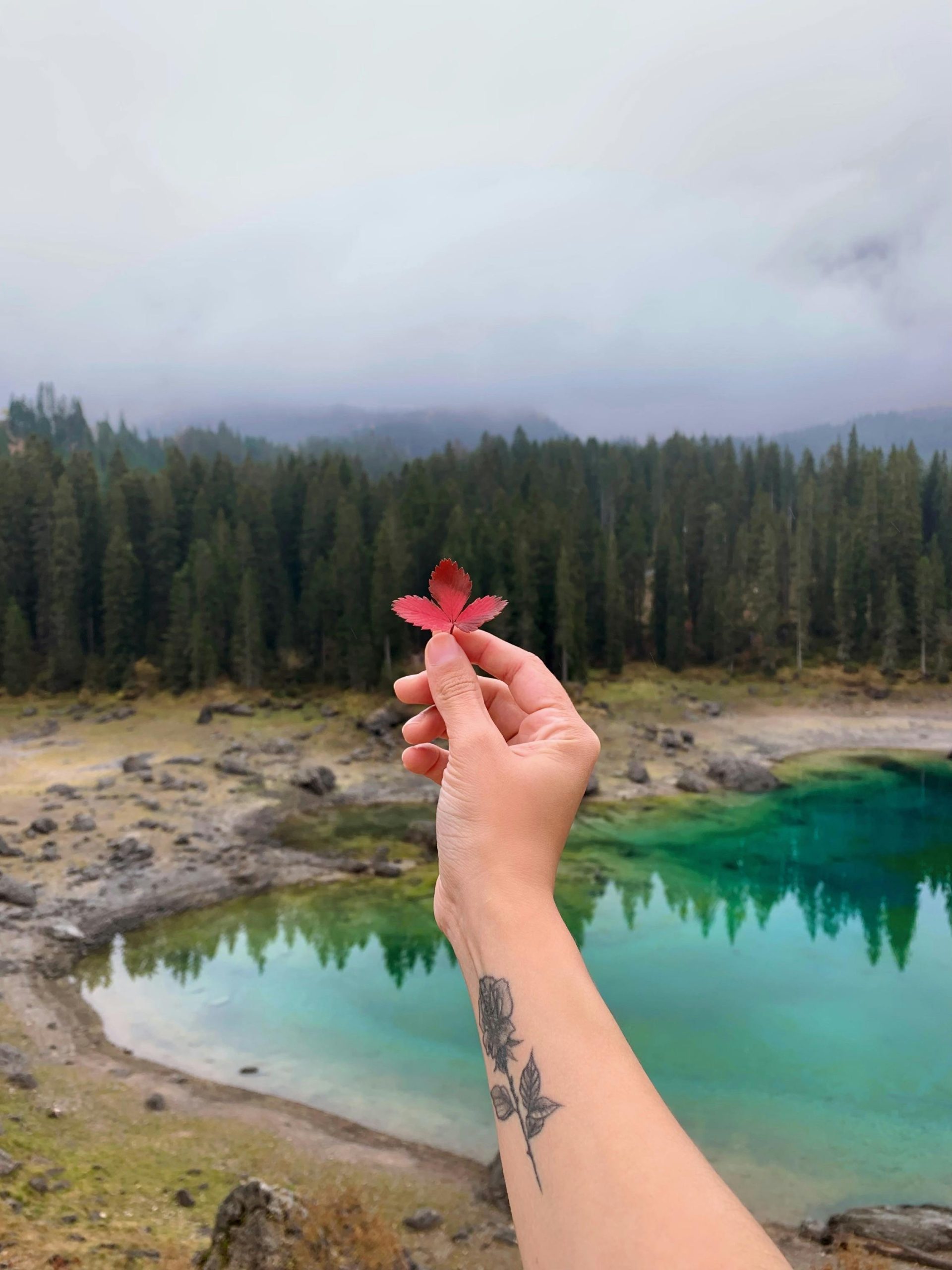 pexels-ledana-mance-171529524-11442604