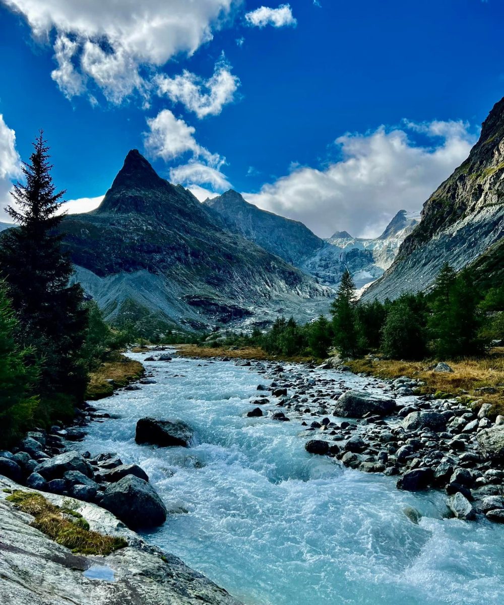 379408692_10163188098906258_1159765717549918465_n