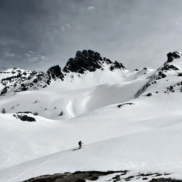 IMG-20230324-WA0031~2