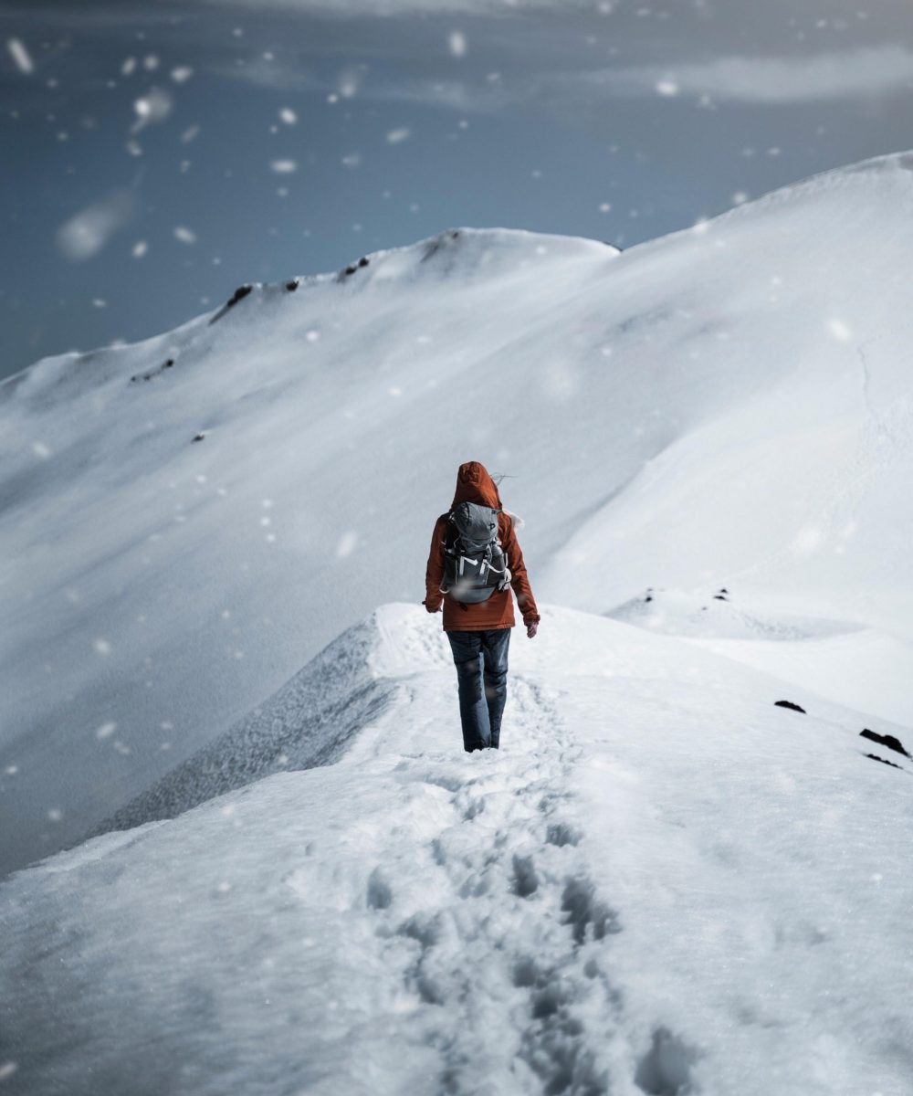 pexels-gantas-1891882