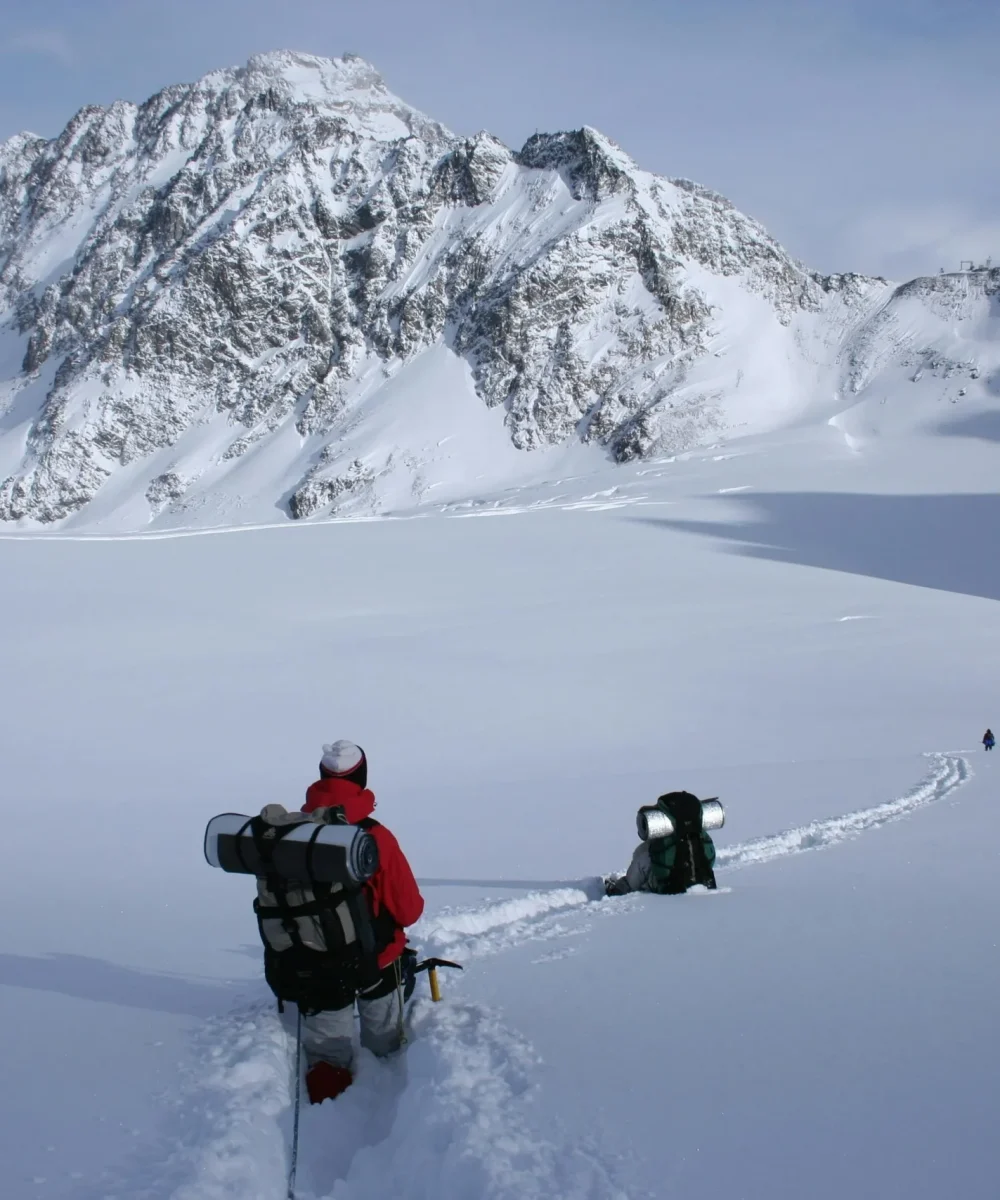 pexels-pixabay-236959