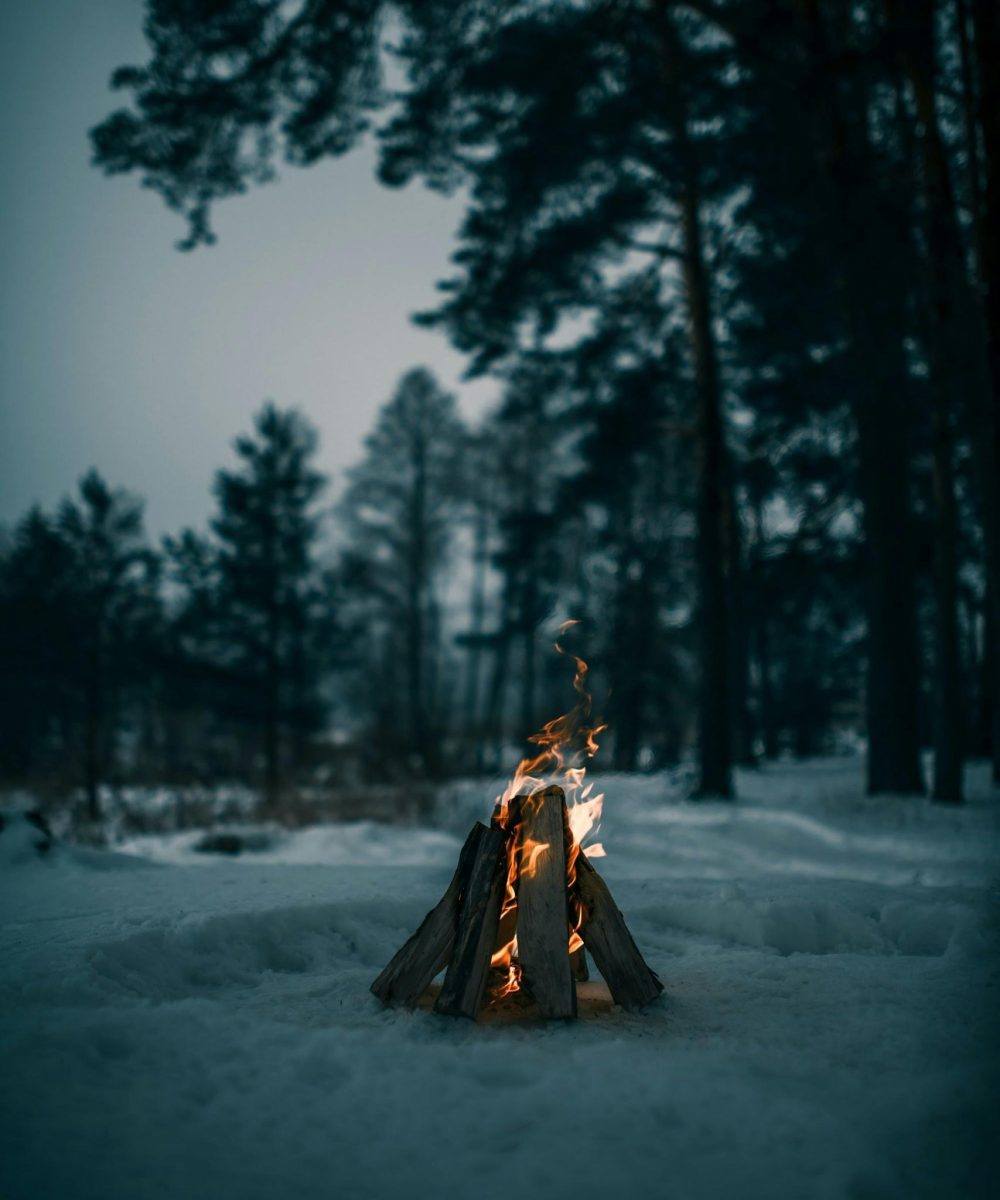 pexels-vadimsadovski-33522604-7052770